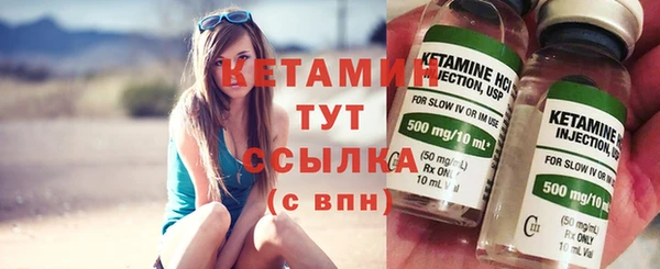 стаф Верея