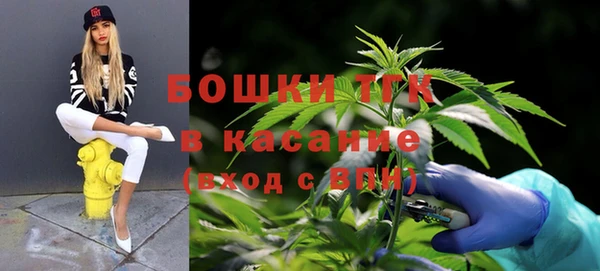 PSILOCYBIN Верхний Тагил