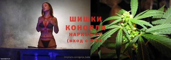 стаф Верея
