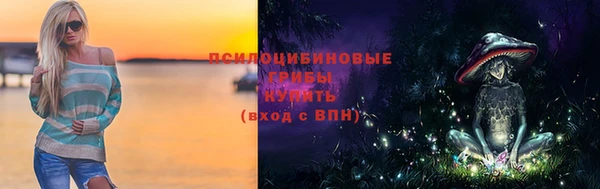 PSILOCYBIN Верхний Тагил