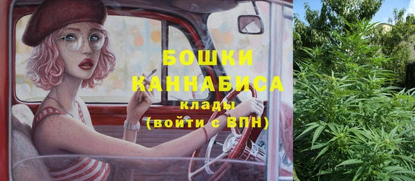 стаф Верея