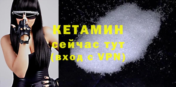стаф Верея