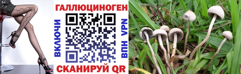 Галлюциногенные грибы ЛСД  где можно купить   Гагарин 
