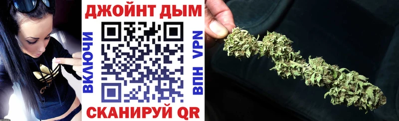 цена   Гагарин  Каннабис индика 